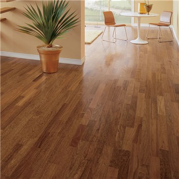 Triangulo 3 8 X 3 1 4 Brazilian Chestnut Wood Floors